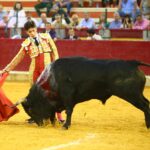 Zaragoza - Novillada picada - Sábado 29 de septiembre de 2018