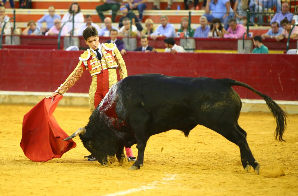 Zaragoza - Novillada picada - Sábado 29 de septiembre de 2018
