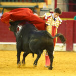 Zaragoza - Novillada picada - Sábado 29 de septiembre de 2018