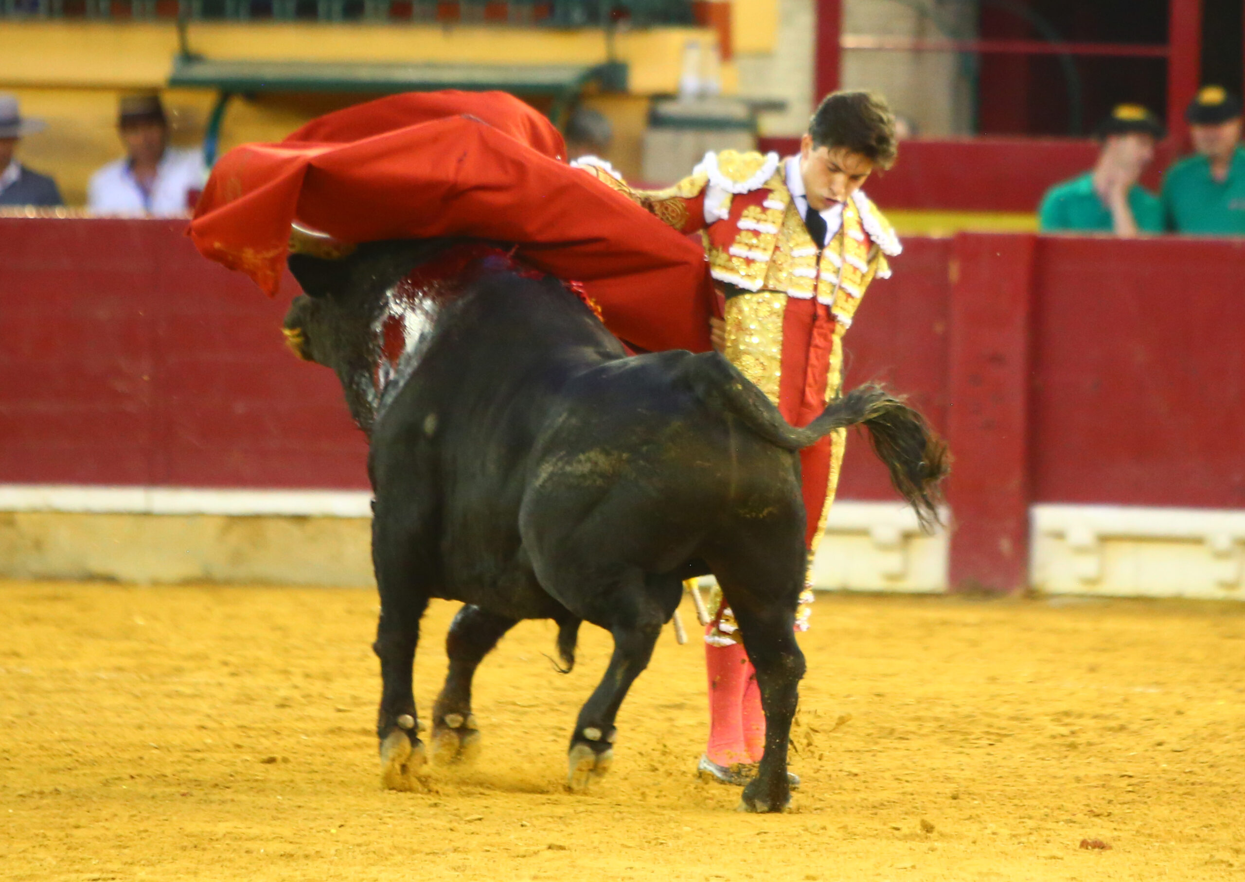 Zaragoza - Novillada picada - Sábado 29 de septiembre de 2018