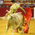 Zaragoza - Novillada picada - Sábado 29 de septiembre de 2018