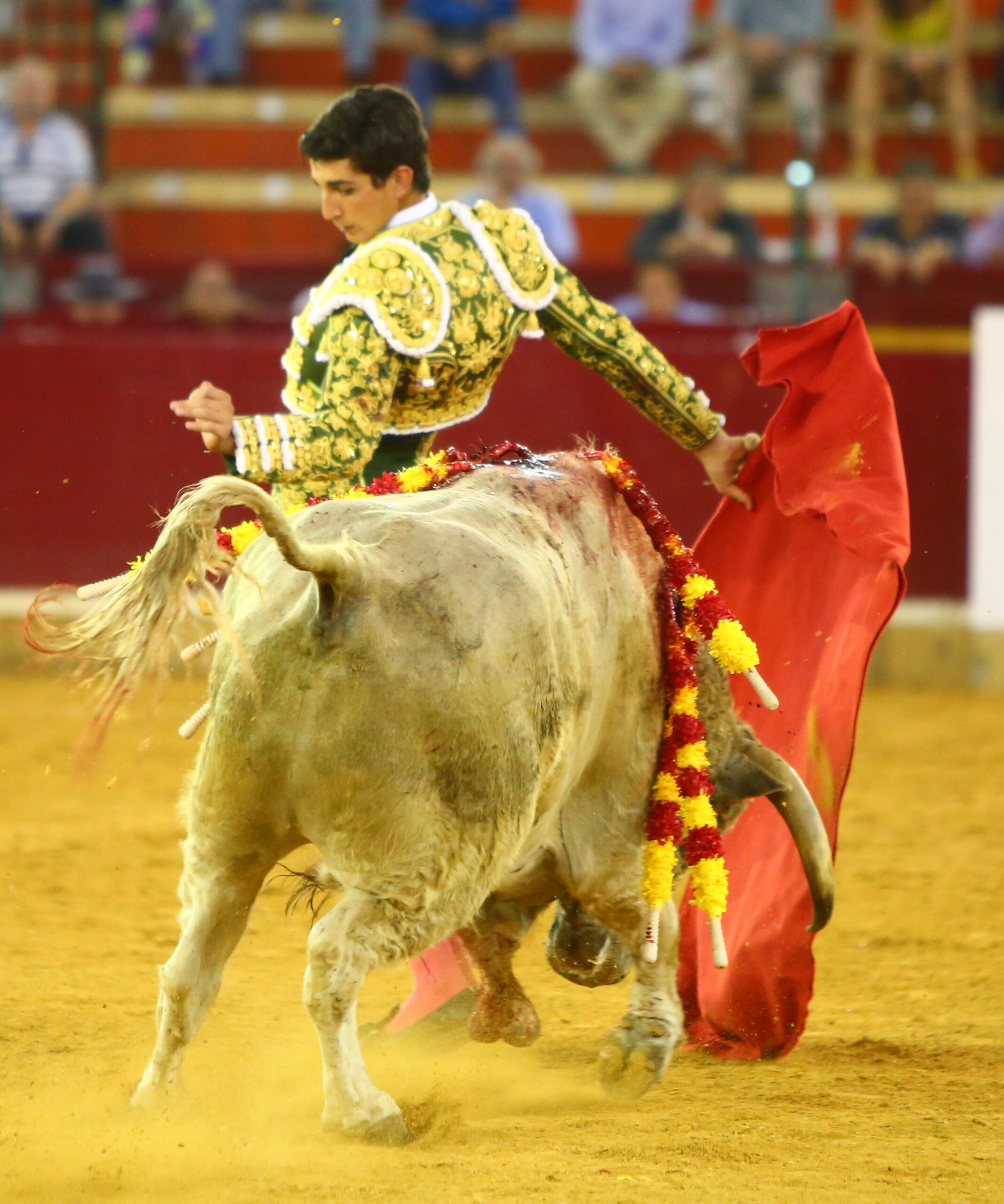 Zaragoza - Novillada picada - Sábado 29 de septiembre de 2018