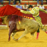 Zaragoza - Novillada picada - Sábado 29 de septiembre de 2018