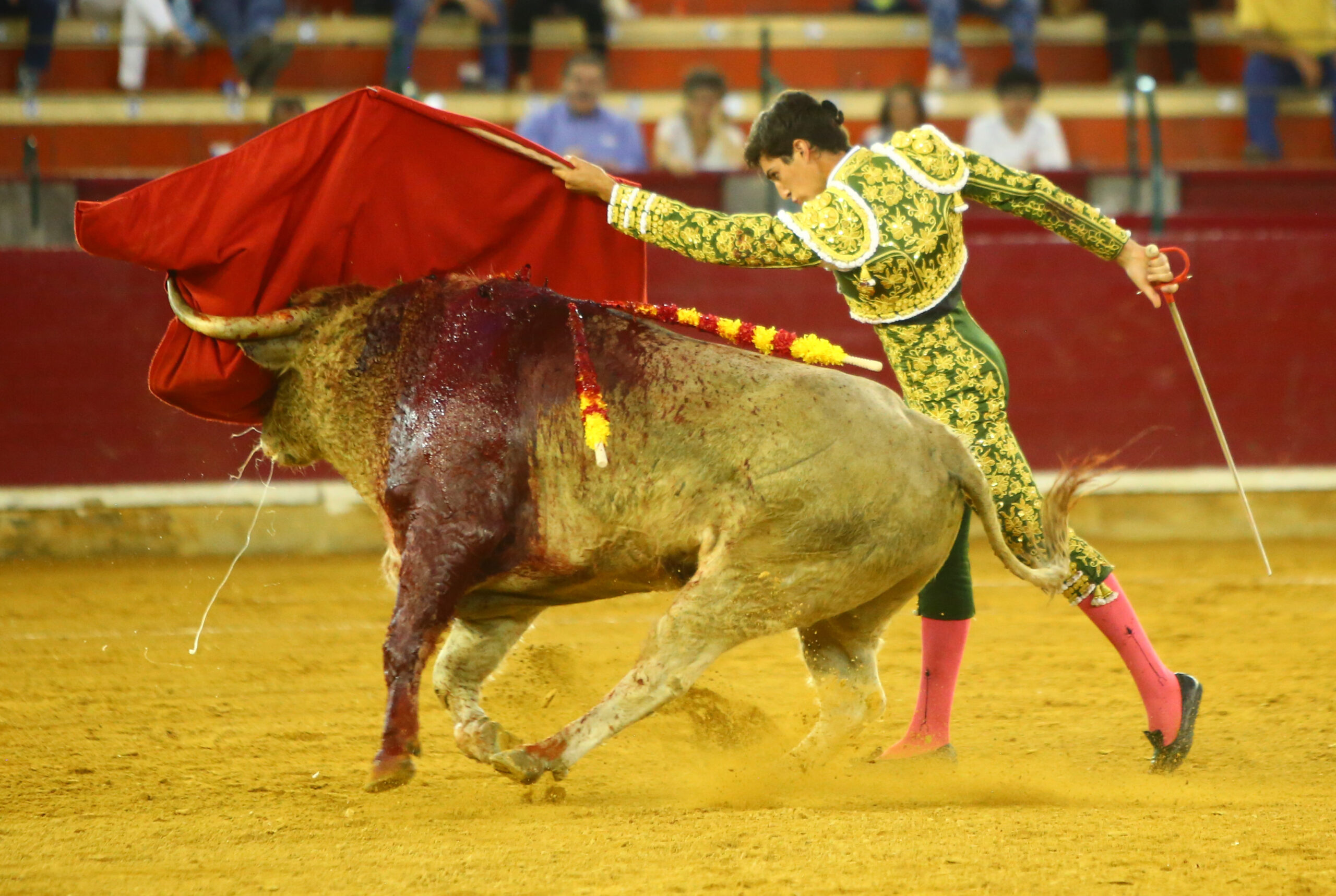 Zaragoza - Novillada picada - Sábado 29 de septiembre de 2018
