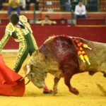 Zaragoza - Novillada picada - Sábado 29 de septiembre de 2018