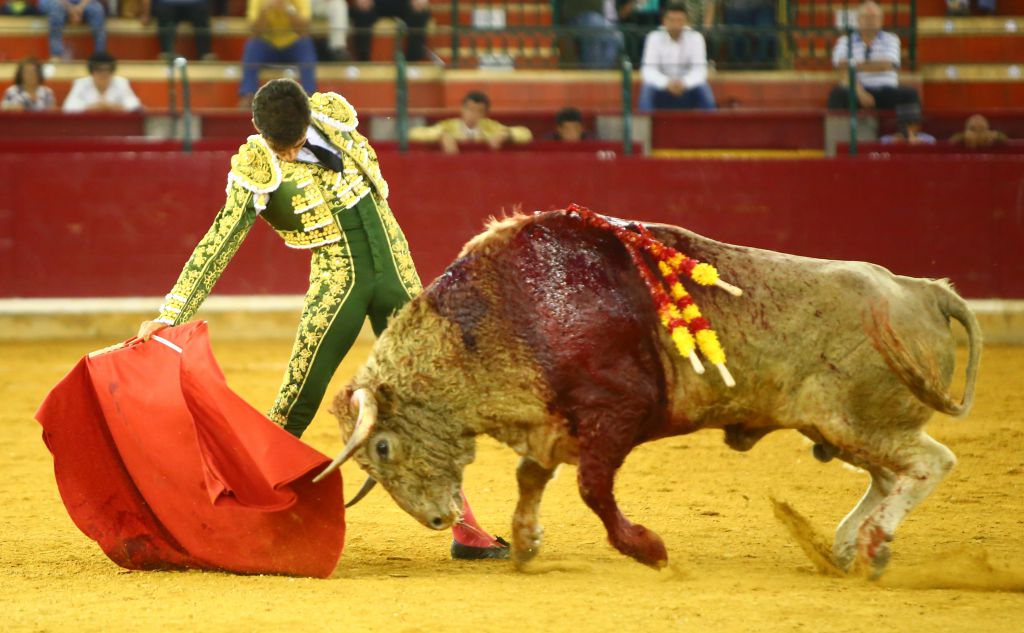 Zaragoza - Novillada picada - Sábado 29 de septiembre de 2018