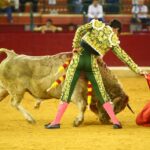 Zaragoza - Novillada picada - Sábado 29 de septiembre de 2018