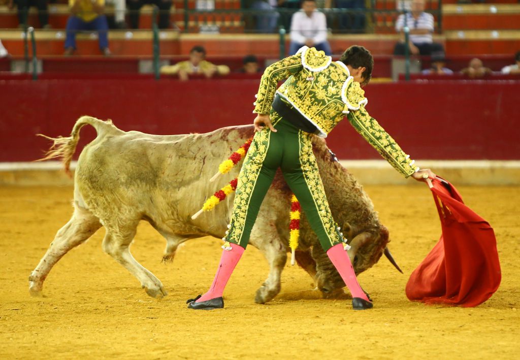 Zaragoza - Novillada picada - Sábado 29 de septiembre de 2018