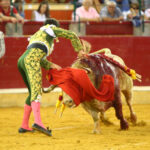 Zaragoza - Novillada picada - Sábado 29 de septiembre de 2018