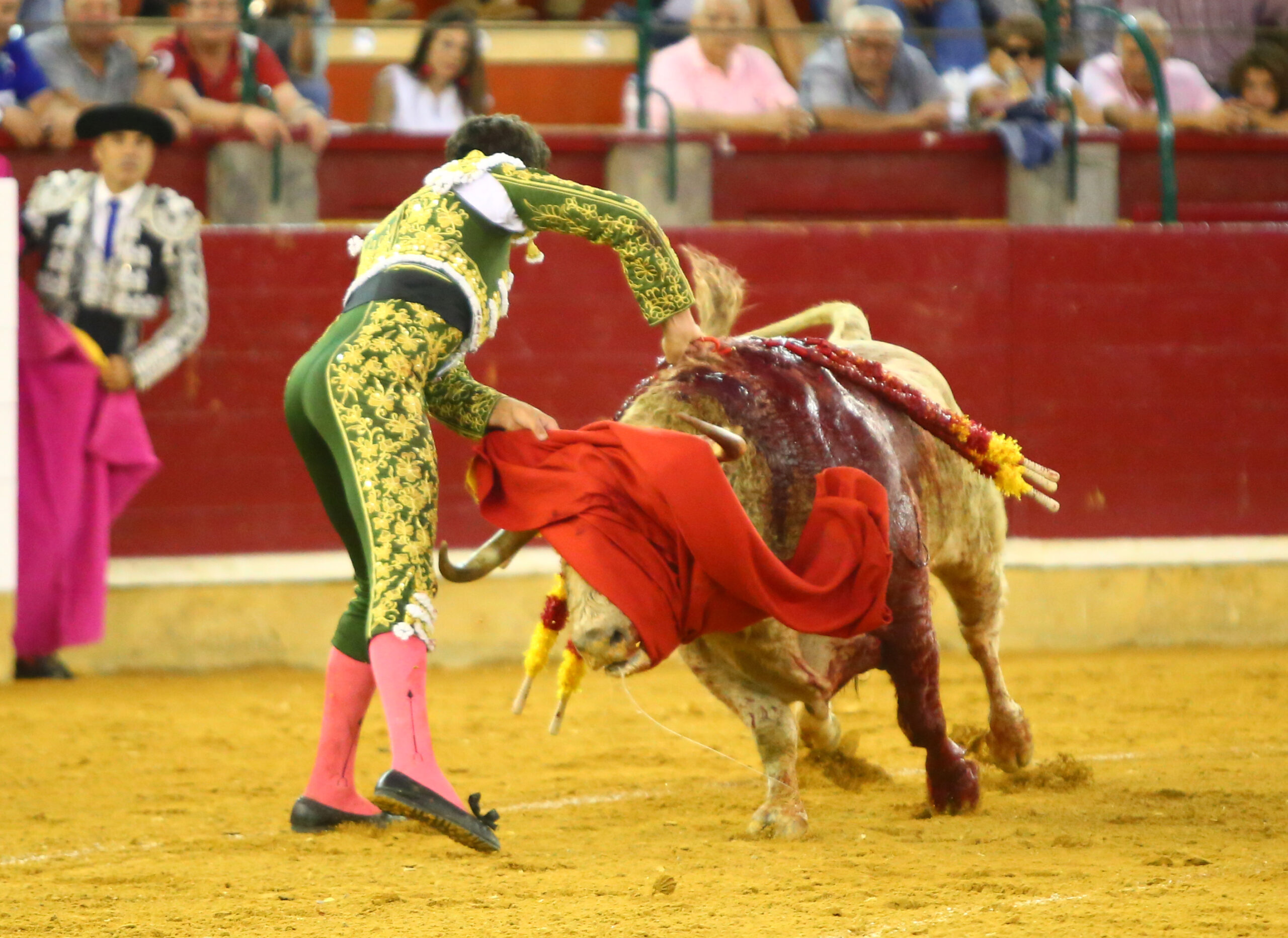 Zaragoza - Novillada picada - Sábado 29 de septiembre de 2018