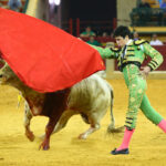 Zaragoza - Novillada picada - Sábado 29 de septiembre de 2018