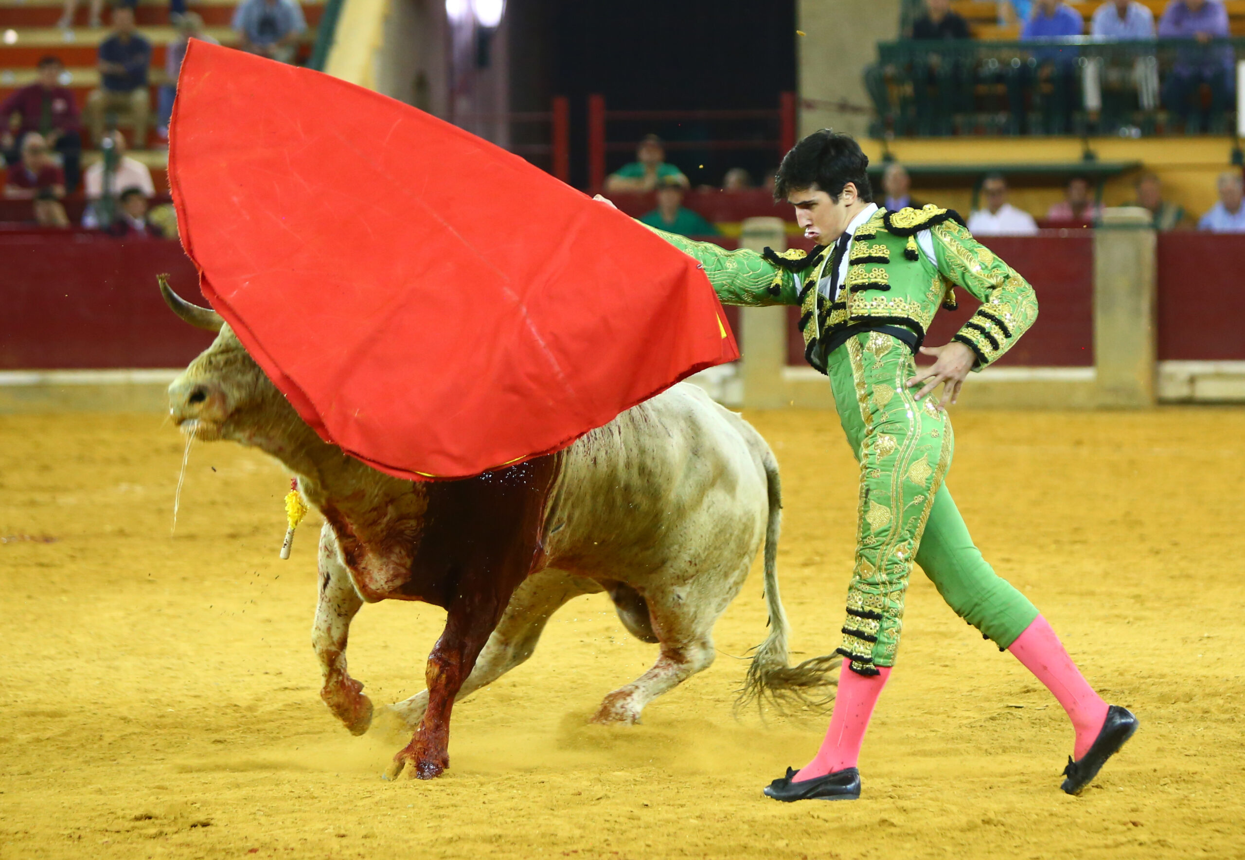 Zaragoza - Novillada picada - Sábado 29 de septiembre de 2018