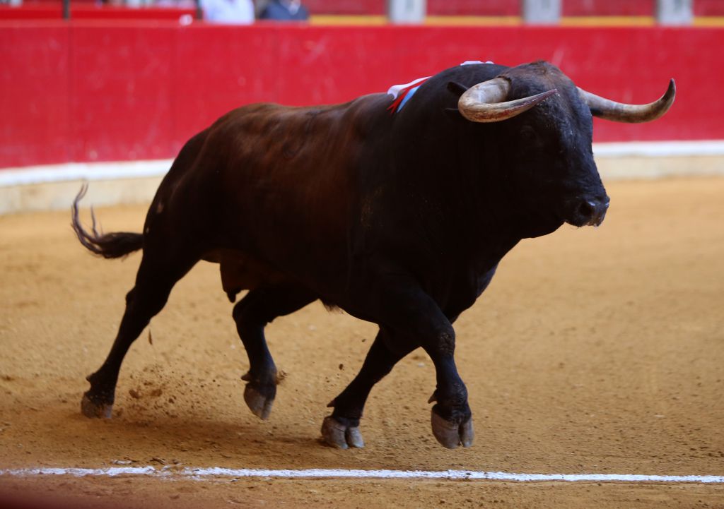 Zaragoza - Corrida de toros concurso - Domingo 30 de septiembre de 2018