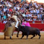 Zaragoza - Corrida de toros concurso - Domingo 30 de septiembre de 2018