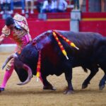 Zaragoza - Corrida de toros concurso - Domingo 30 de septiembre de 2018