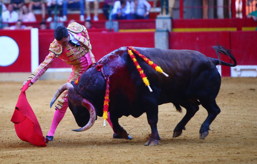 Zaragoza - Corrida de toros concurso - Domingo 30 de septiembre de 2018