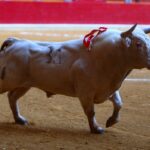 Zaragoza - Corrida de toros concurso - Domingo 30 de septiembre de 2018