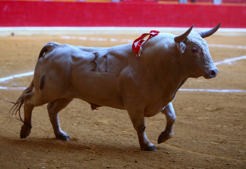 Zaragoza - Corrida de toros concurso - Domingo 30 de septiembre de 2018