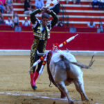 Zaragoza - Corrida de toros concurso - Domingo 30 de septiembre de 2018