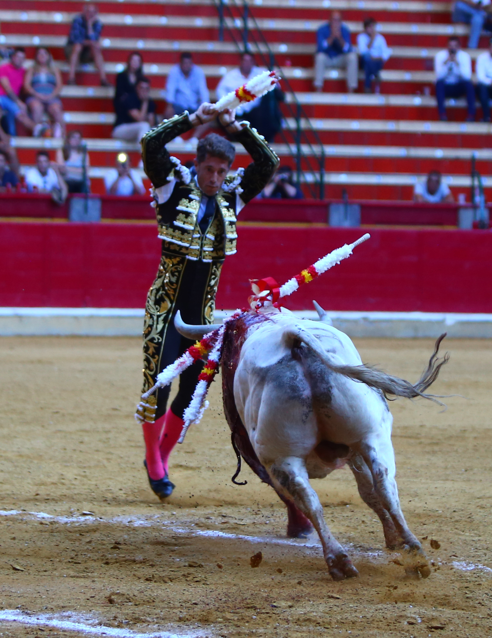 Zaragoza - Corrida de toros concurso - Domingo 30 de septiembre de 2018