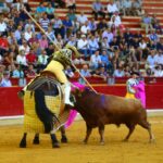Zaragoza - Corrida de toros concurso - Domingo 30 de septiembre de 2018