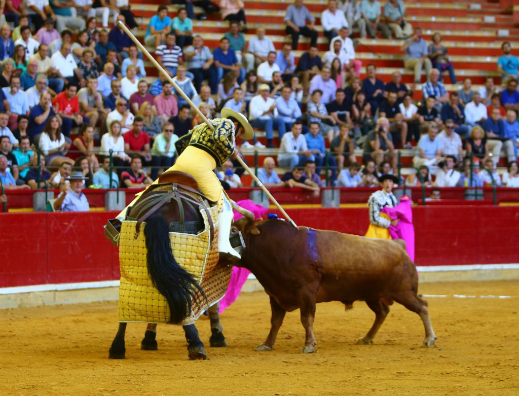 Zaragoza - Corrida de toros concurso - Domingo 30 de septiembre de 2018