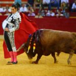 Zaragoza - Corrida de toros concurso - Domingo 30 de septiembre de 2018