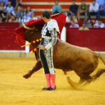 Zaragoza - Corrida de toros concurso - Domingo 30 de septiembre de 2018