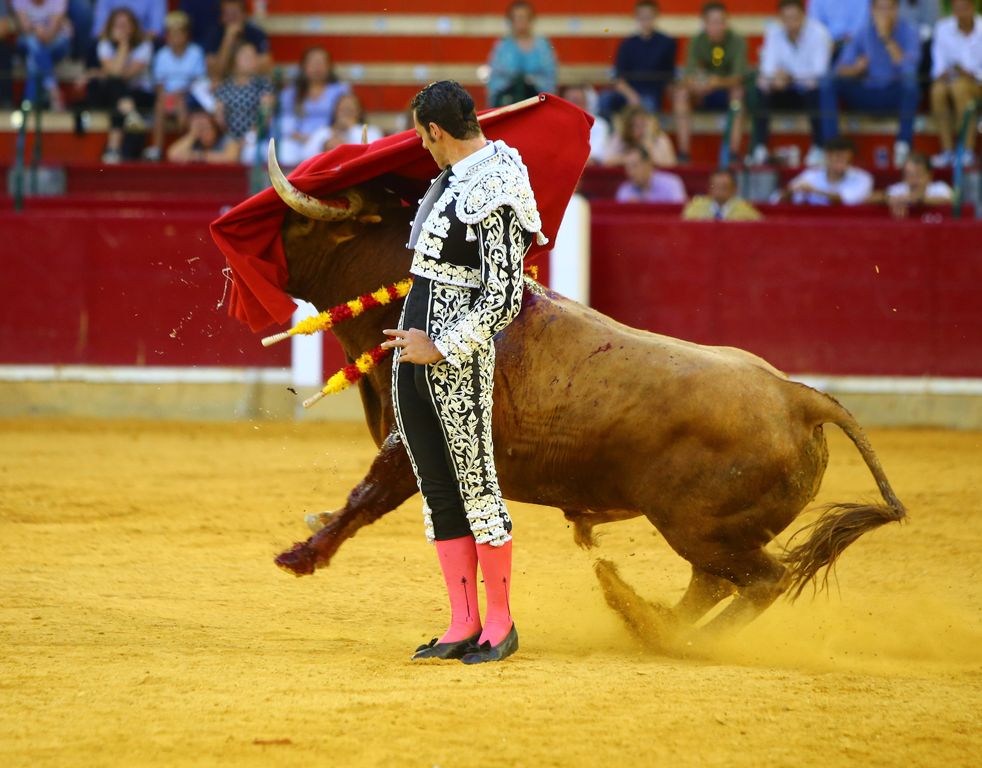 Zaragoza - Corrida de toros concurso - Domingo 30 de septiembre de 2018