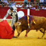 Zaragoza - Corrida de toros concurso - Domingo 30 de septiembre de 2018