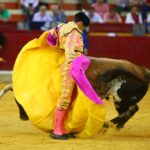Zaragoza - Corrida de toros concurso - Domingo 30 de septiembre de 2018