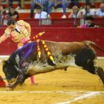 Zaragoza - Corrida de toros concurso - Domingo 30 de septiembre de 2018
