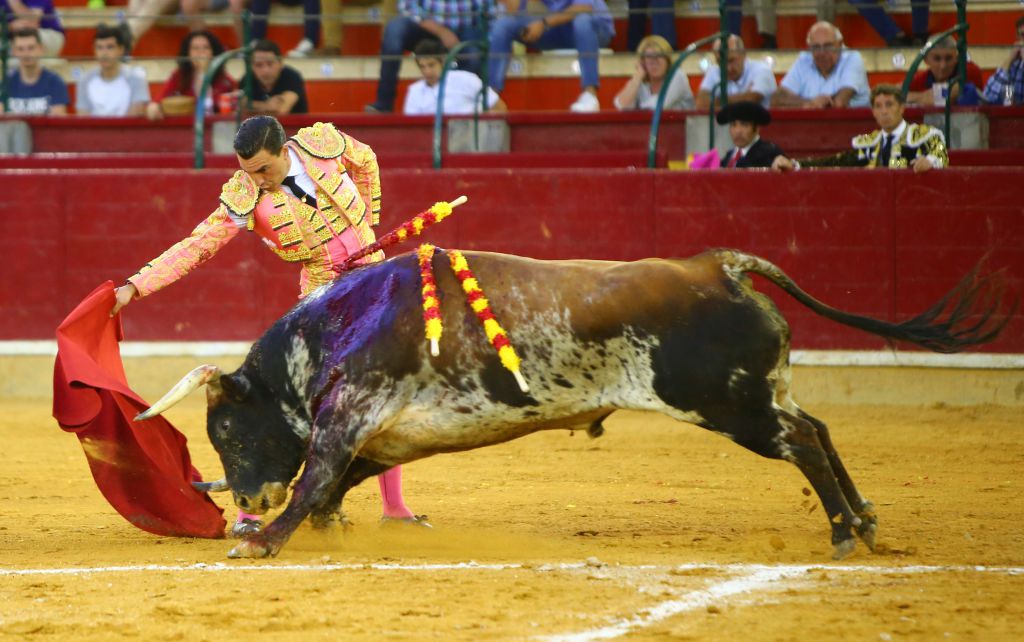 Zaragoza - Corrida de toros concurso - Domingo 30 de septiembre de 2018
