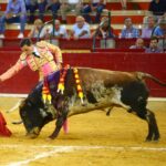Zaragoza - Corrida de toros concurso - Domingo 30 de septiembre de 2018