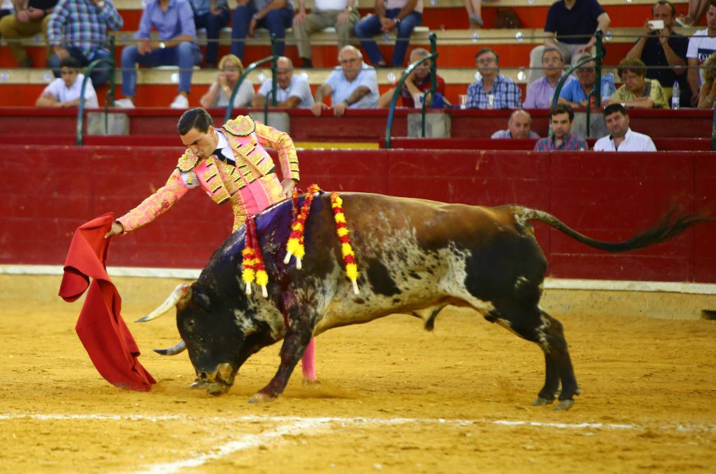 Zaragoza - Corrida de toros concurso - Domingo 30 de septiembre de 2018