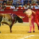 Zaragoza - Corrida de toros concurso - Domingo 30 de septiembre de 2018