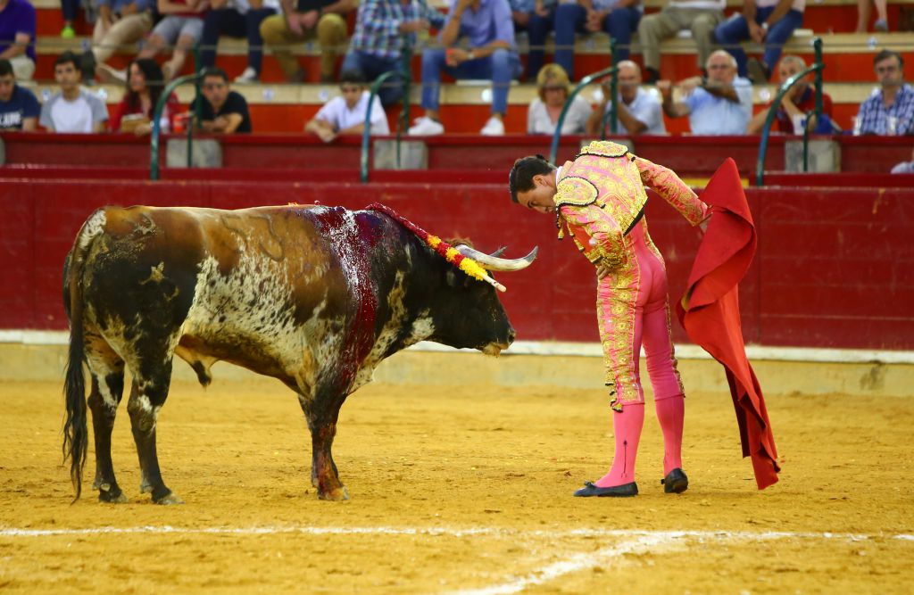 Zaragoza - Corrida de toros concurso - Domingo 30 de septiembre de 2018
