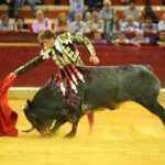Zaragoza - Corrida de toros concurso - Domingo 30 de septiembre de 2018