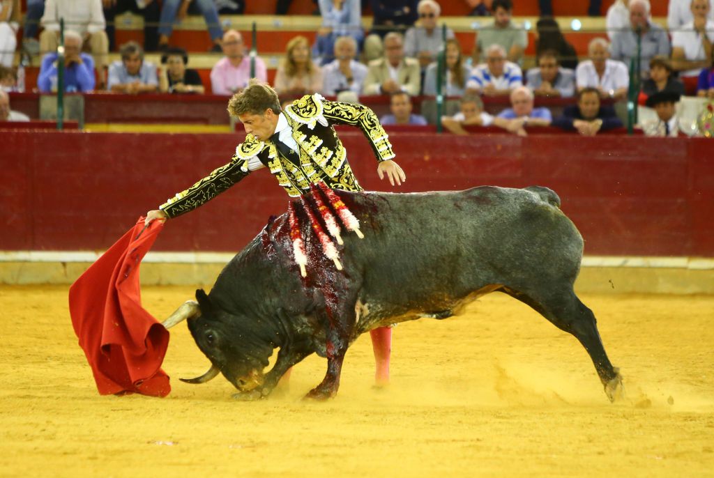 Zaragoza - Corrida de toros concurso - Domingo 30 de septiembre de 2018
