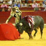 Zaragoza - Corrida de toros concurso - Domingo 30 de septiembre de 2018