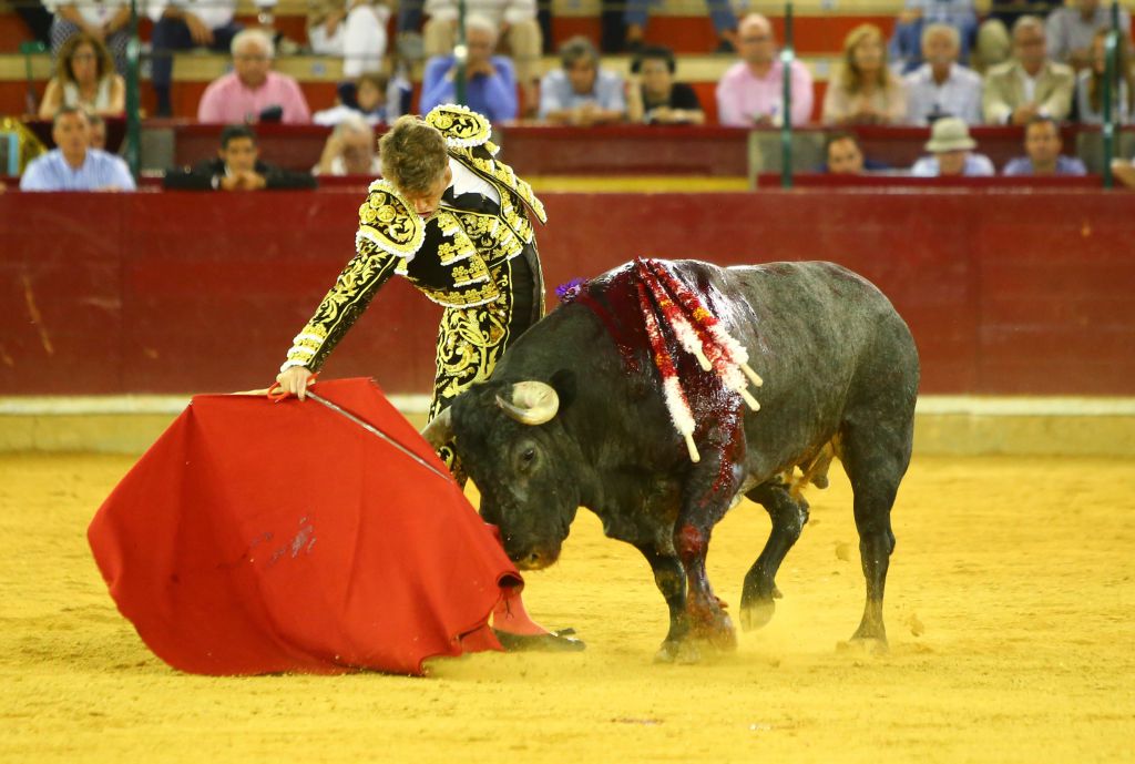 Zaragoza - Corrida de toros concurso - Domingo 30 de septiembre de 2018