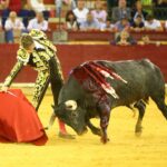Zaragoza - Corrida de toros concurso - Domingo 30 de septiembre de 2018
