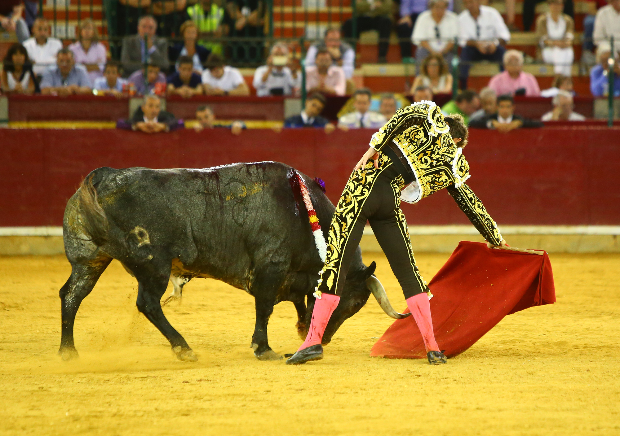Zaragoza - Corrida de toros concurso - Domingo 30 de septiembre de 2018
