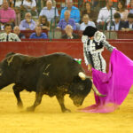 Zaragoza - Corrida de toros concurso - Domingo 30 de septiembre de 2018
