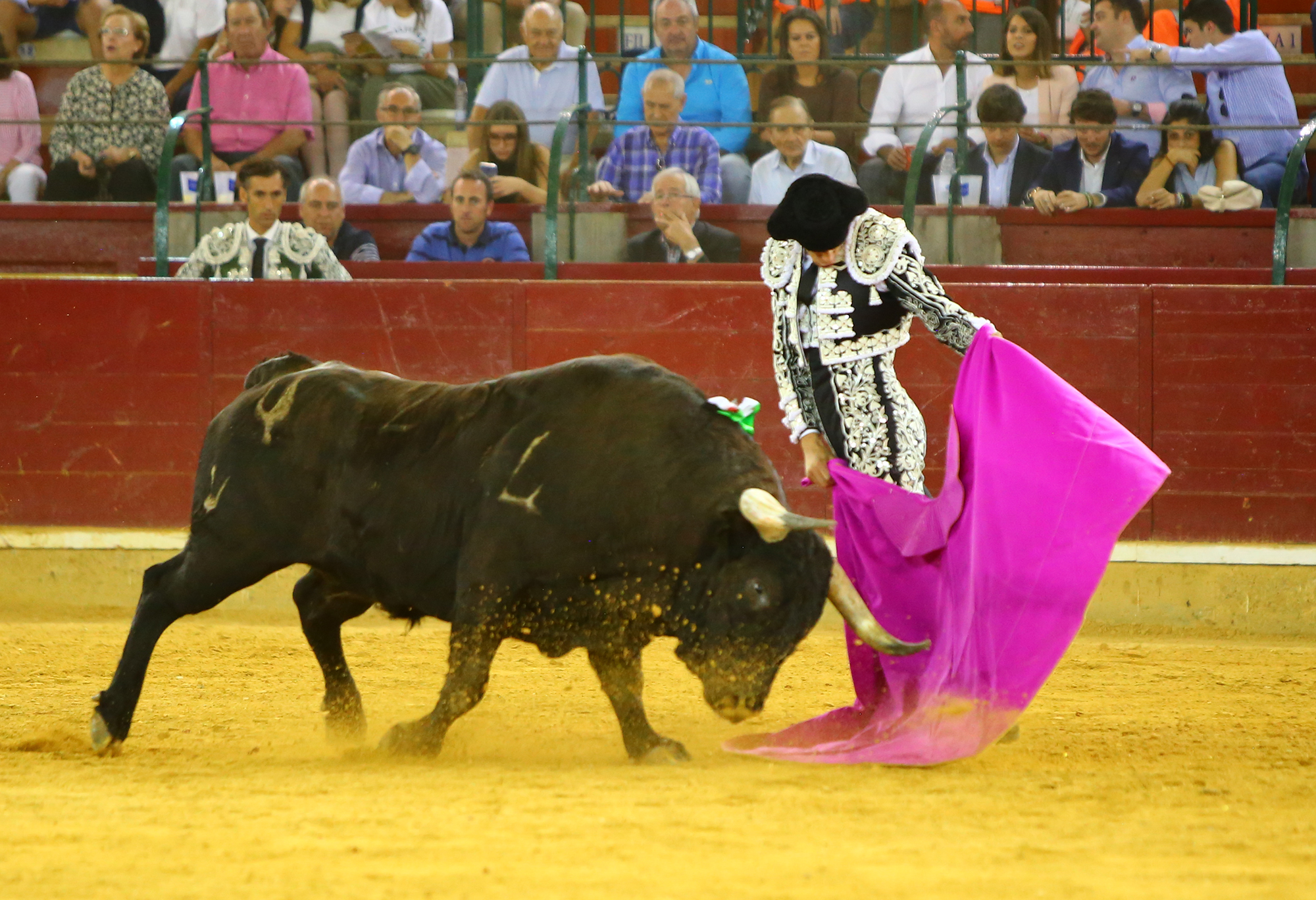 Zaragoza - Corrida de toros concurso - Domingo 30 de septiembre de 2018