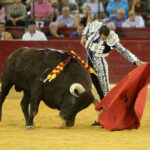 Zaragoza - Corrida de toros concurso - Domingo 30 de septiembre de 2018