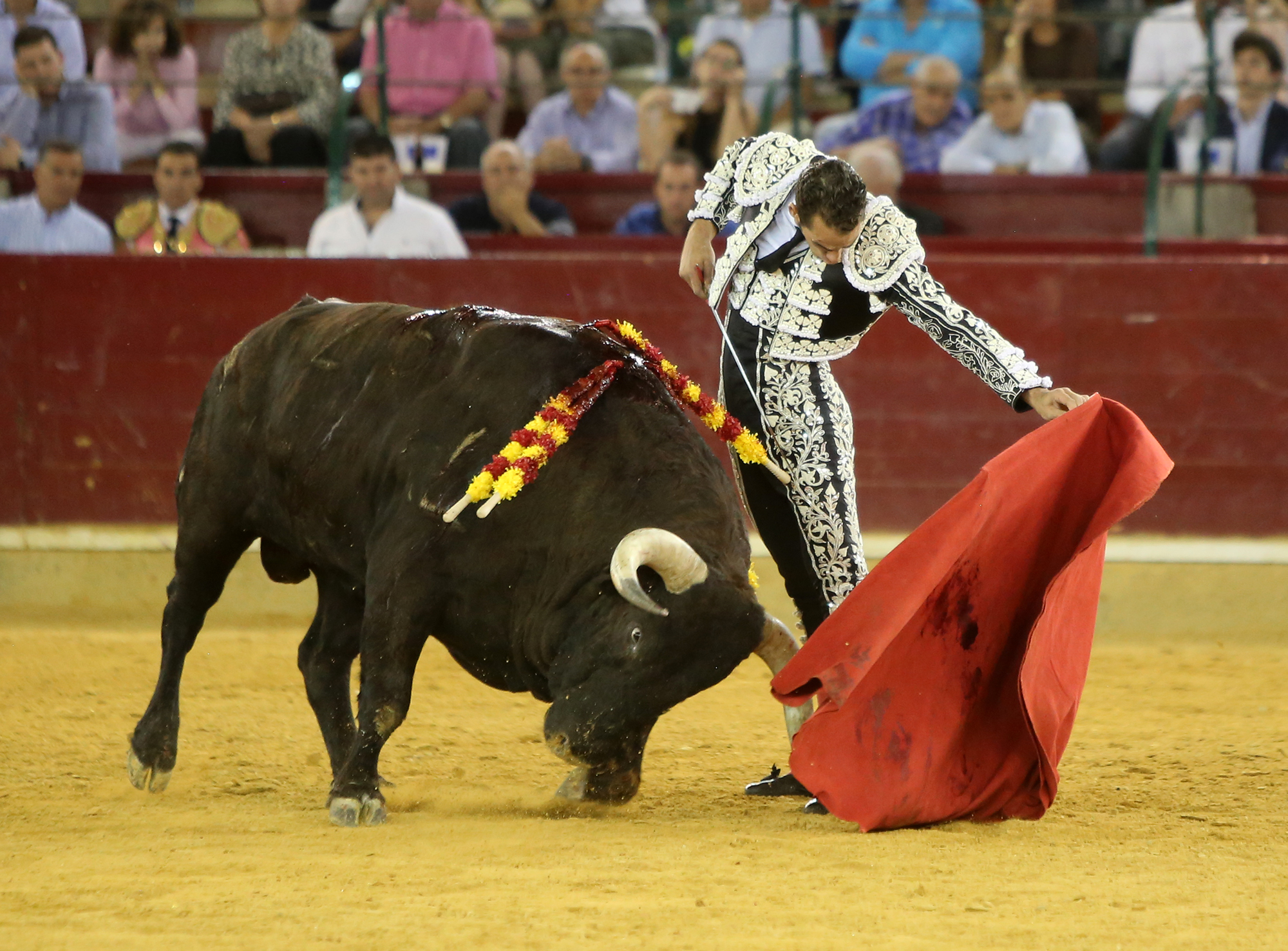 Zaragoza - Corrida de toros concurso - Domingo 30 de septiembre de 2018