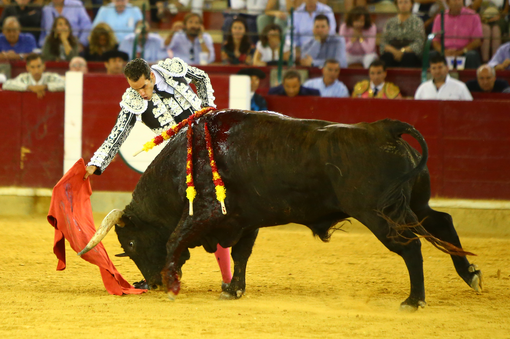 Zaragoza - Corrida de toros concurso - Domingo 30 de septiembre de 2018