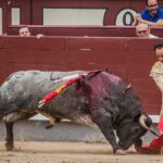 Madrid - Corrida de toros- Domingo 9 de septiembre de 2018