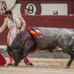 Madrid - Corrida de toros- Domingo 9 de septiembre de 2018
